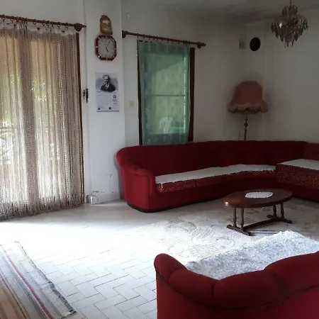 Daily Rent Vila *