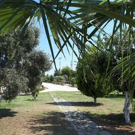 Daily Rent * Datça